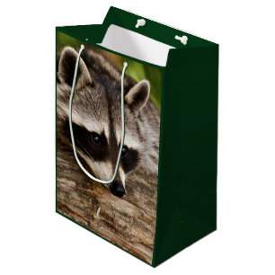 Bolsa De Regalo Mediana Descanso de mapache en un registro