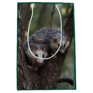 Bolsa De Regalo Mediana Doble problema en el dosel forestal: dobles posumo