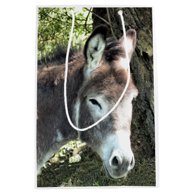 BOLSA DE REGALO MEDIANA DONKEY (Anverso)
