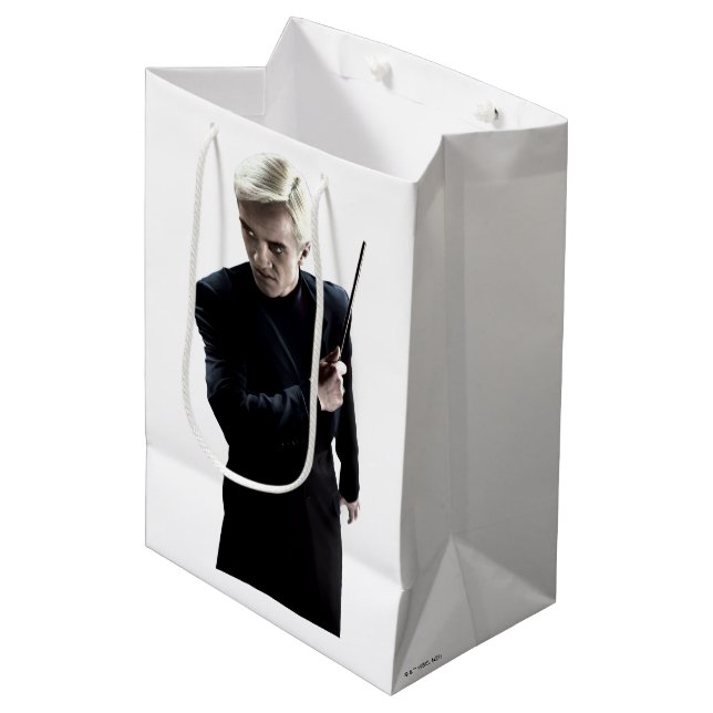 Bolsa De Regalo Mediana Draco Malfoy 3 (Angulo Anverso)