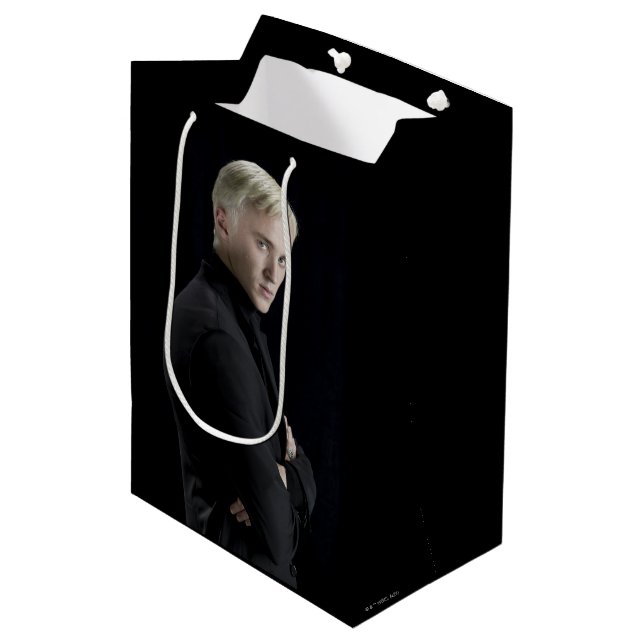Bolsa De Regalo Mediana Draco Malfoy Arms Crossed (Angulo Anverso)