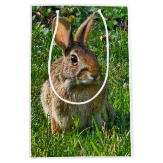 Bolsa De Regalo Mediana Eastern cottontail rabbit