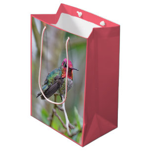 Bolsa De Regalo Mediana El colibrí de Anna, un hombre asombroso, en un árb