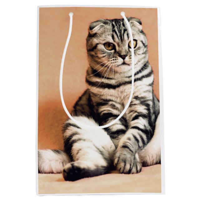 Bolsa De Regalo Mediana El Gatito Cute Se Extiende (Anverso)