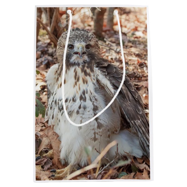 Bolsa De Regalo Mediana El rojo ató el halcón doblado (Anverso)