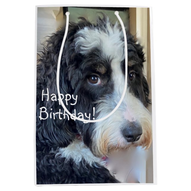 Bolsa De Regalo Mediana Feliz cumpleaños Adorable Bernedoodle (Anverso)