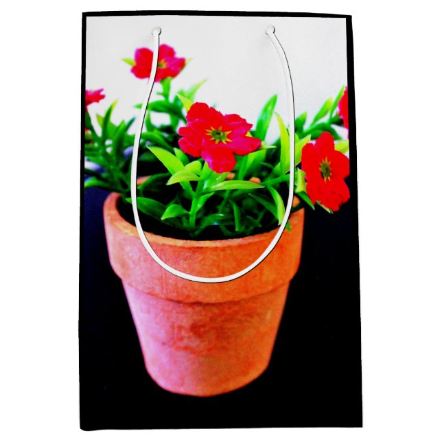 Bolsa De Regalo Mediana Flor Pot (Anverso)