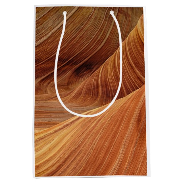 Bolsa De Regalo Mediana Formaciones de rock de piedra arenisca (Anverso)