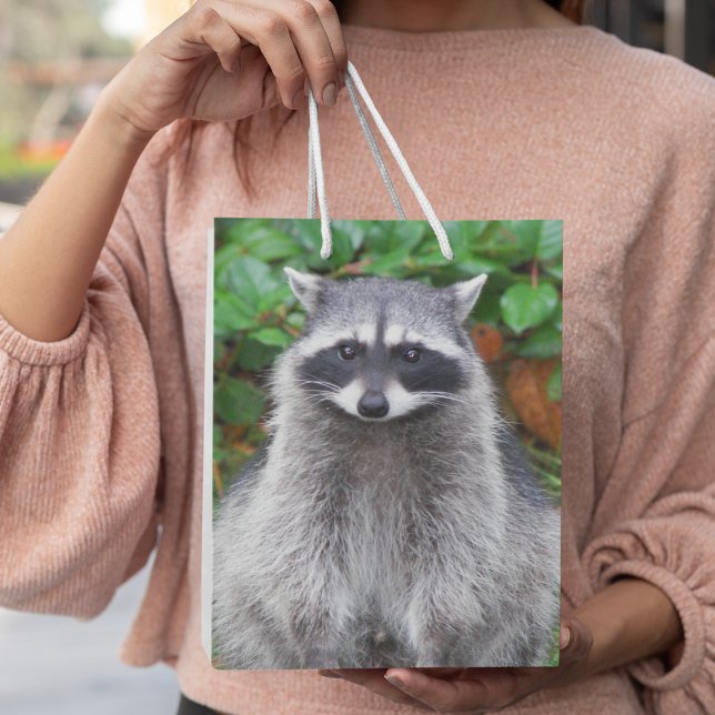 Bolsa De Regalo Mediana Foto Cute Posando Raccoon Wildlife (In Situ)