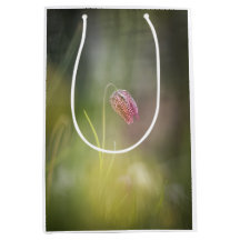 Foto de la naturaleza de las flores