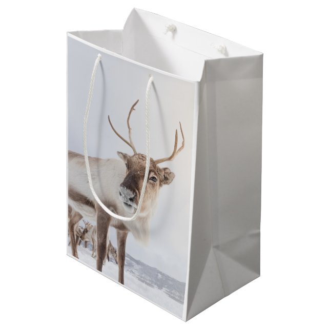 Bolsa De Regalo Mediana Foto de la naturaleza de los renos (Angulo Anverso)