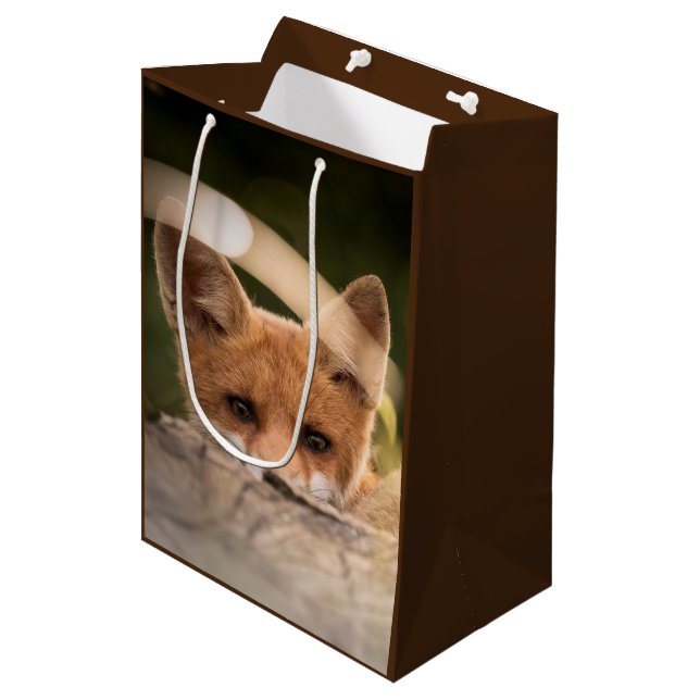 Bolsa De Regalo Mediana Foto de un Pequeño Naranja Fox (Angulo Anverso)