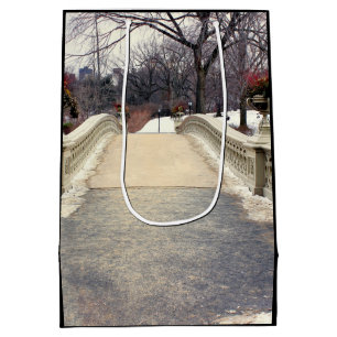 Bolsa De Regalo Mediana Foto del puente del arco de Central Park