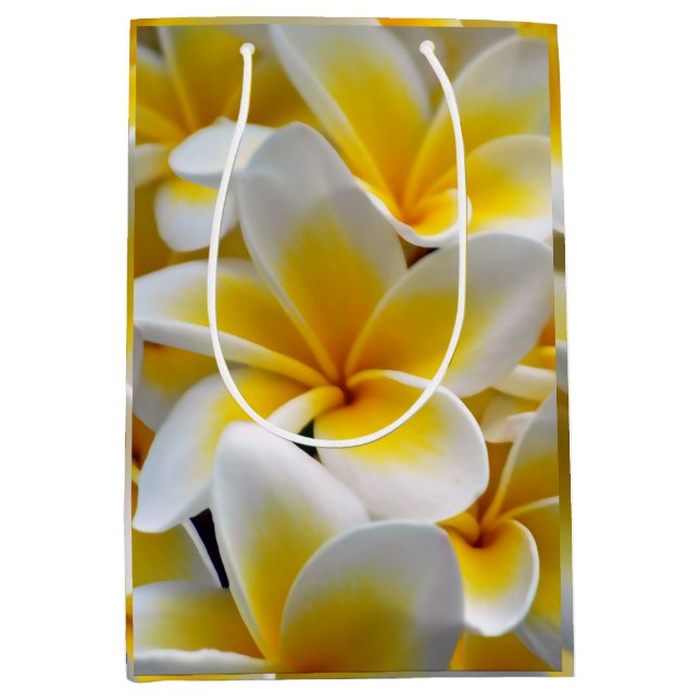 Bolsa De Regalo Mediana Foto Frangipani Plumeria de Flor (Anverso)