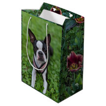 Fotografía de Boston Terrier feliz con flores
