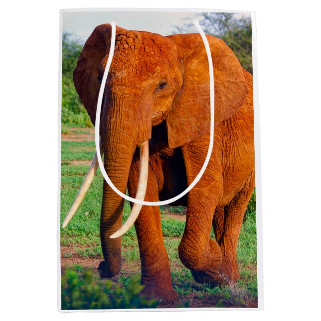 Bolsa De Regalo Mediana Fotografía de elefante africano adulto (Anverso)