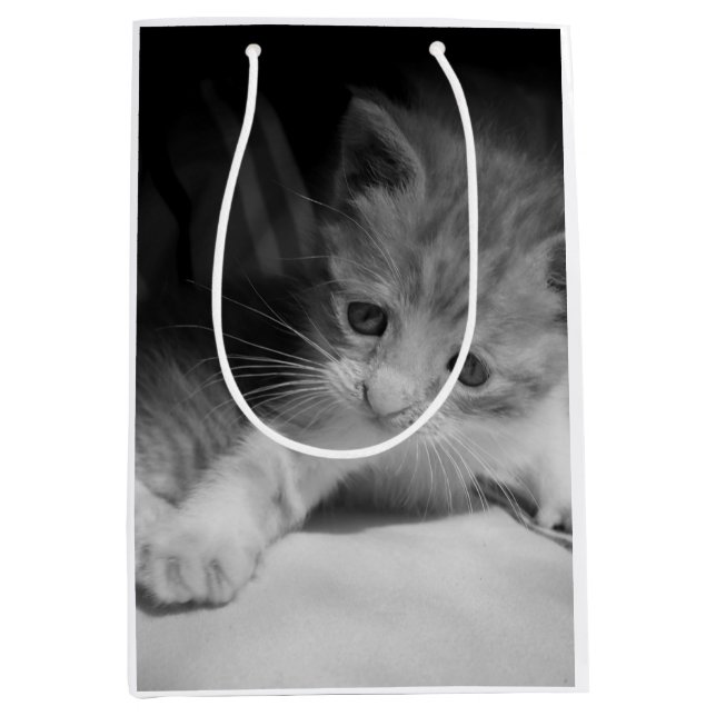 Bolsa De Regalo Mediana Fotografía de Gatito Blanco y Negro (Anverso)