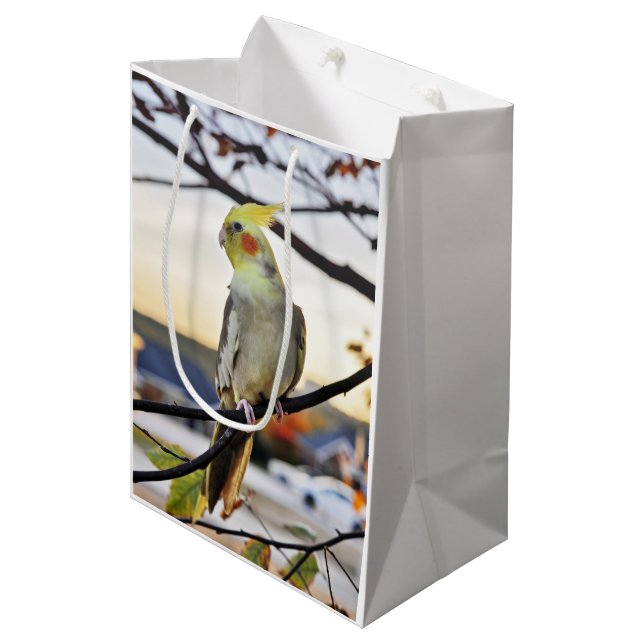 Bolsa De Regalo Mediana Fotografía del perfil del Cockatiel (Angulo Anverso)