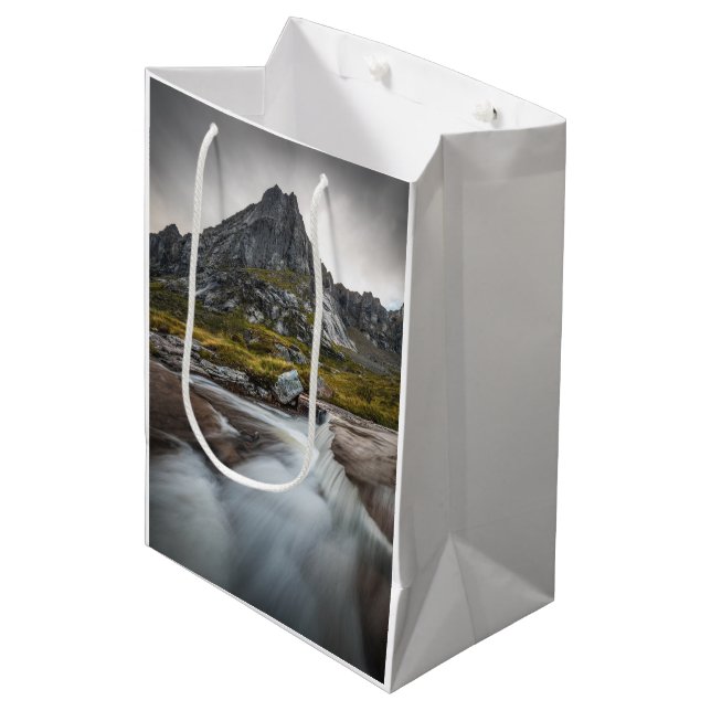 Bolsa De Regalo Mediana Fotografía paisajística de Noruega (Angulo Anverso)
