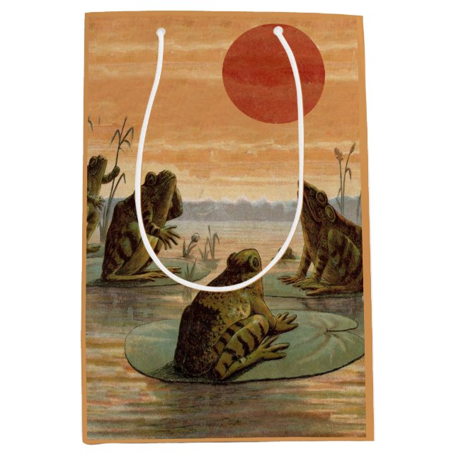 Bolsa De Regalo Mediana Frogs Lily Pads Moon Illustration (Anverso)