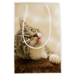 Bolsa De Regalo Mediana Gatito lindo con una pata al aire libre