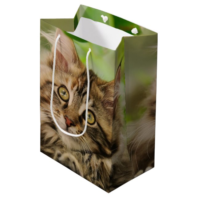 Bolsa De Regalo Mediana Gatito lindo del Coon de Maine (Angulo Anverso)