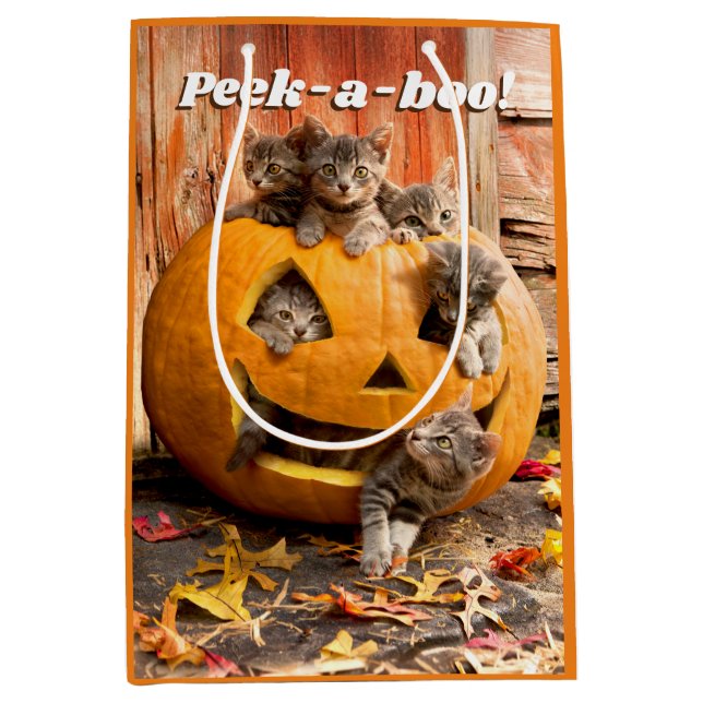 Bolsa De Regalo Mediana Gatitos en Jack-o-Lantern (Anverso)