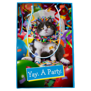 Bolsa De Regalo Mediana Gato En Cono Fiesta