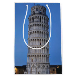 Bolsa De Regalo Mediana Gift Bag