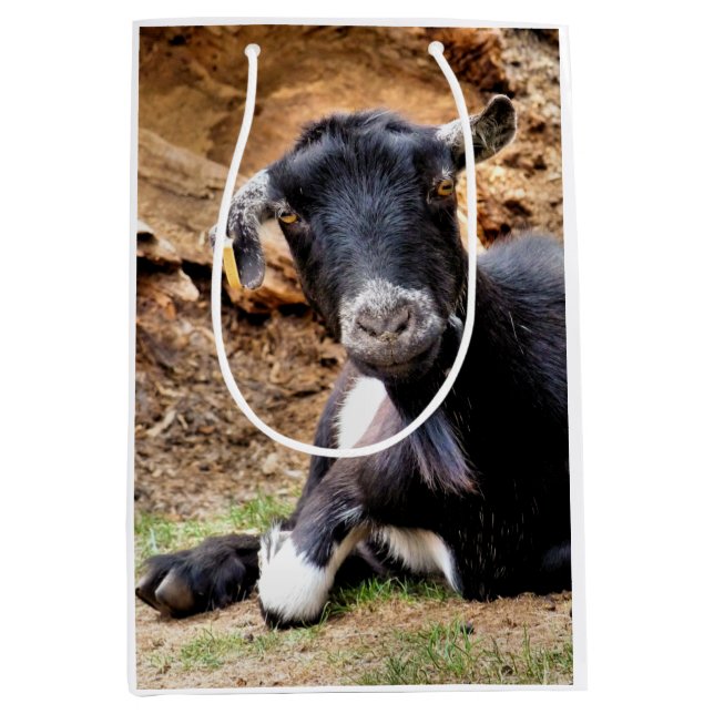 BOLSA DE REGALO MEDIANA GOAT (Anverso)