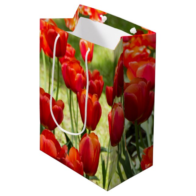 Bolsa De Regalo Mediana Gran campo de tulipanes rojos (Angulo Anverso)
