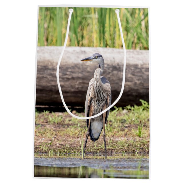 Bolsa De Regalo Mediana Gran garza azul en el lago Champlain (Reverso)