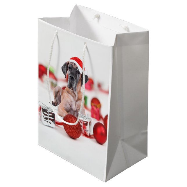 Bolsa De Regalo Mediana Grandes Navidades de perros cubanos (Angulo Anverso)