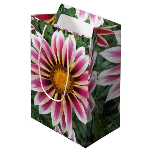 Bolsa De Regalo Mediana Hereford (Angulo Anverso)