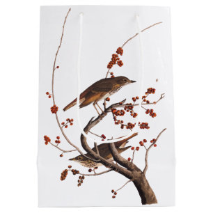 Bolsa De Regalo Mediana Hermit Thrush Audubon Bird con Berries Rojas