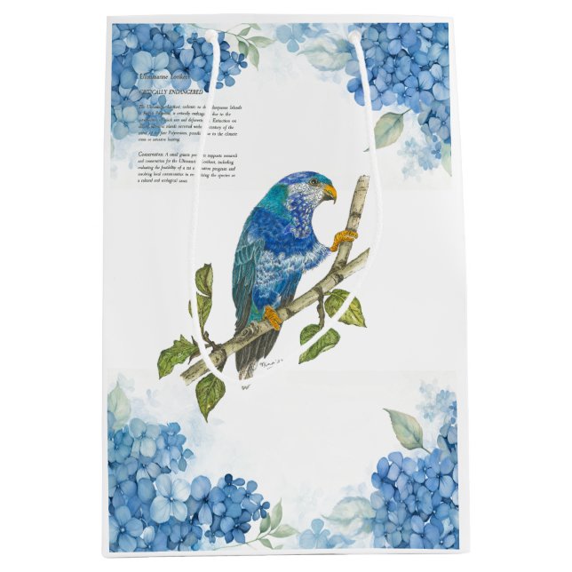 Bolsa De Regalo Mediana Hermosa Lorikeet Pintada A Mano (Anverso)