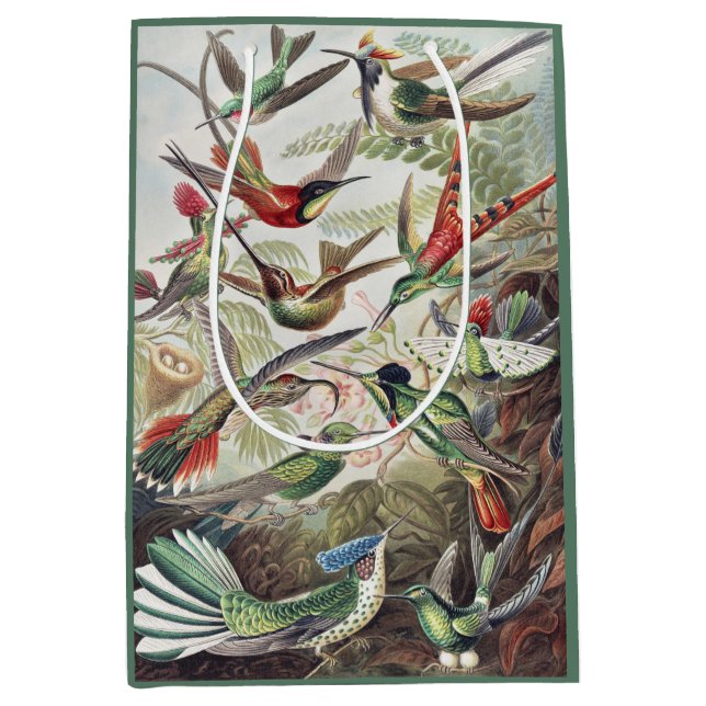 Bolsa De Regalo Mediana Hummingbird Bird Wildlife Classic Painting (Anverso)