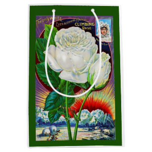 Bolsa De Regalo Mediana ilustracion de catálogo rosa de los años 1890 Whit