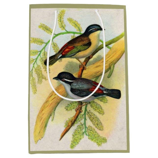 Bolsa De Regalo Mediana impresión de aves de bonito (Anverso)