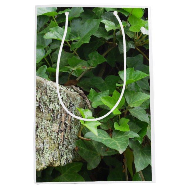 Bolsa De Regalo Mediana Ivy y Lichens - Viñedo de Martha (Anverso)