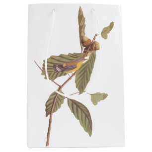 Bolsa De Regalo Mediana La guerra de Swainson de Audubon en la rama de rob