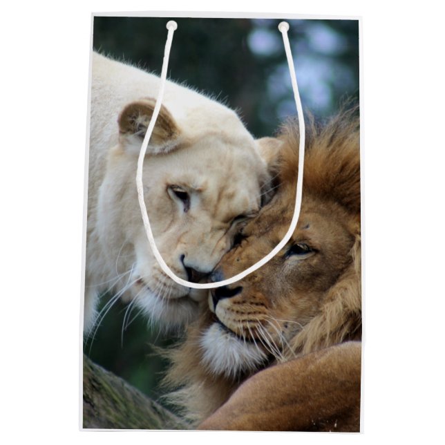 Bolsa De Regalo Mediana León y leona (Reverso)