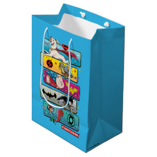 Bolsa De Regalo Mediana Liga DC de SuperMascotas
