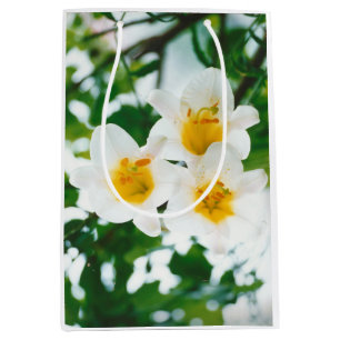 Bolsa De Regalo Mediana Lilis blancas - Lilium candidum de flores de lirio