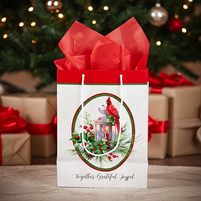 Bolsa De Regalo Mediana Linterna encantadora con Navidades huecos y cardin (Subido por el creador)