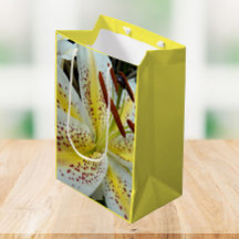 Lirio oriental blanco con floral estelar amarillo