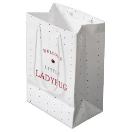 Bolsa De Regalo Mediana Little Ladybug Baby Shower