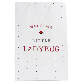Bolsa De Regalo Mediana Little Ladybug Baby Shower