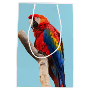 Bolsa De Regalo Mediana Loro