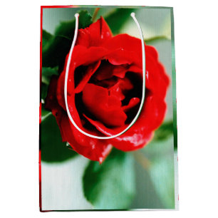 Bolsa De Regalo Mediana Magnífica rosa roja con rocío matutino